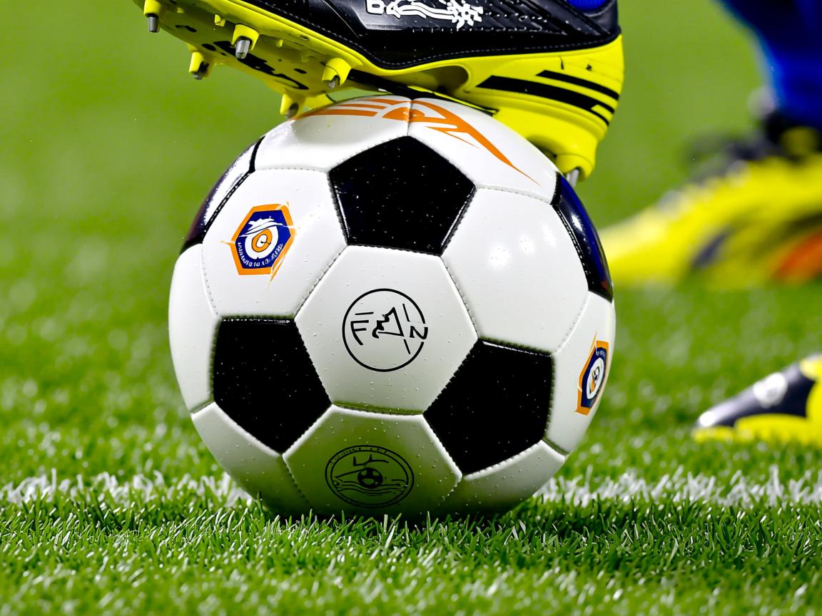 od体育官方入口-亚冠联赛中国青年队战胜 球迷现场气氛热烈，青年队打亚冠  第2张